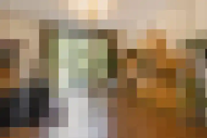 Zoomstraat 13 Arnhem thumbnail 12