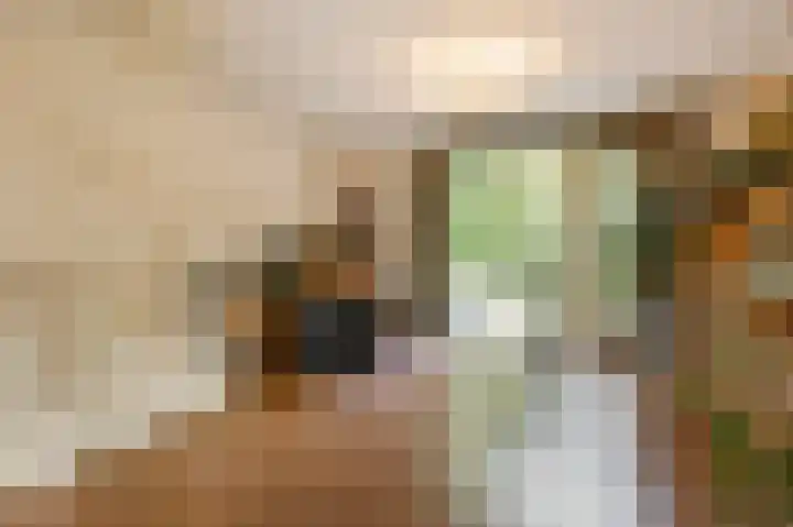 Zoomstraat 13 Arnhem thumbnail 13