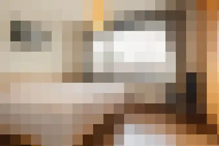 Zoomstraat 13 Arnhem thumbnail 14
