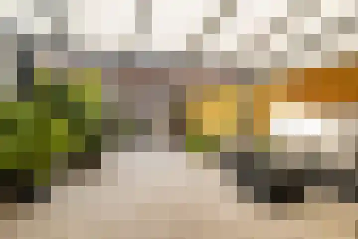 Zoomstraat 13 Arnhem thumbnail 28