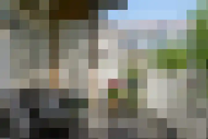 Zoomstraat 37 2 Amsterdam thumbnail 15