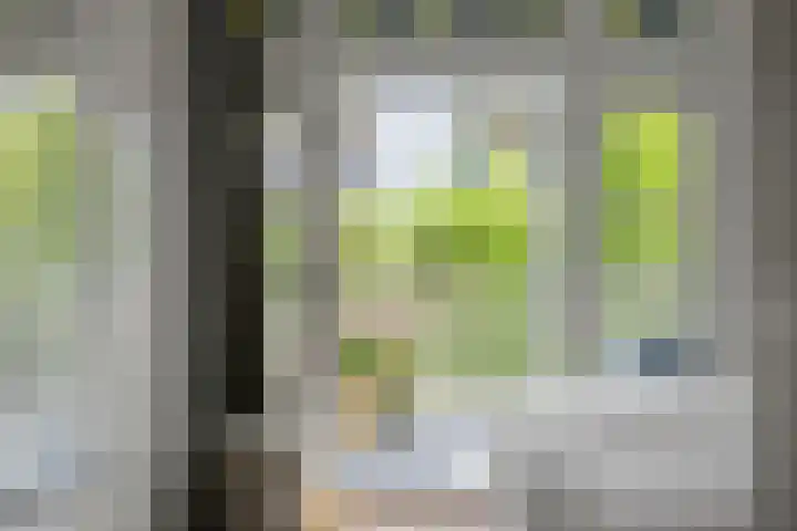 Zoomstraat 37 2 Amsterdam thumbnail 17