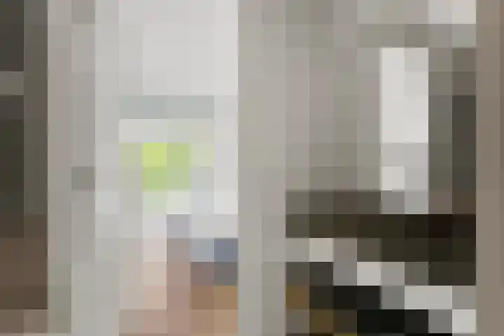 Zoomstraat 37 2 Amsterdam thumbnail 25