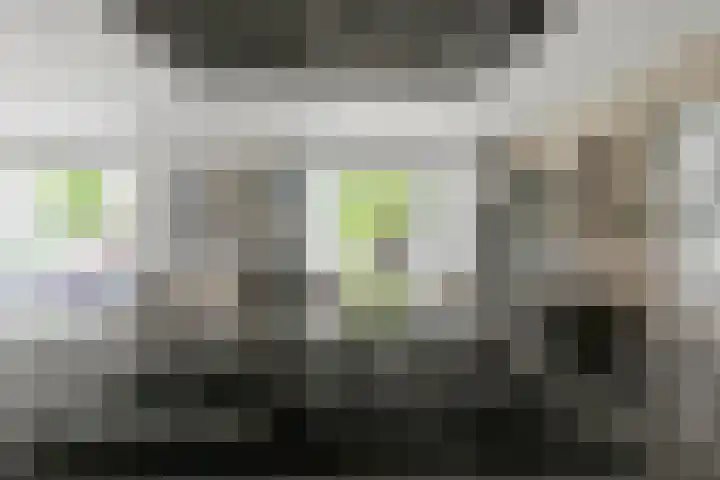 Zoomstraat 37 2 Amsterdam thumbnail 33