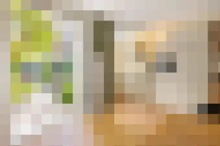 Zoomstraat 51 1 Amsterdam thumbnail 11