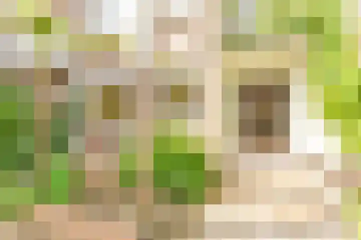 Zoomstraat 51 1 Amsterdam thumbnail 16