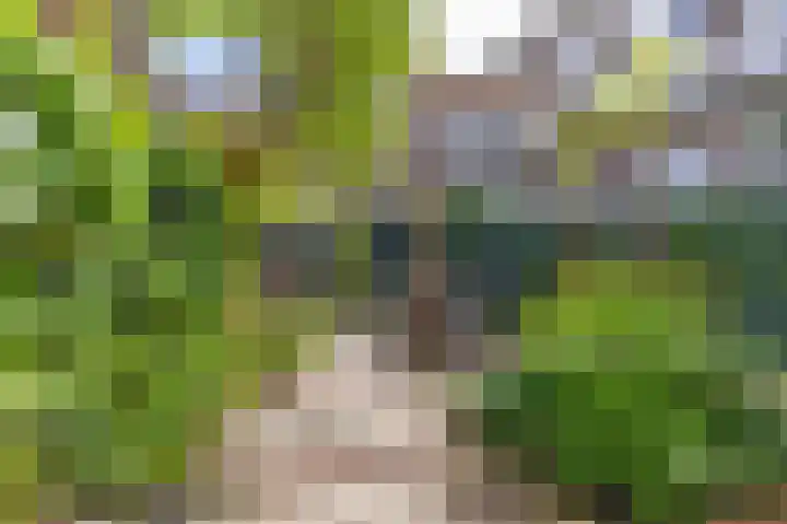 Zoomstraat 51 1 Amsterdam thumbnail 17
