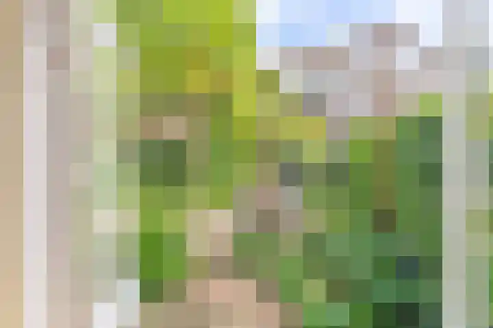 Zoomstraat 51 1 Amsterdam thumbnail 20