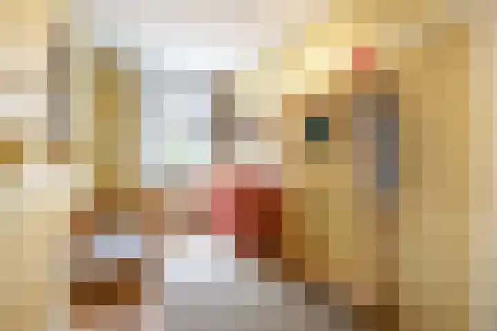 Zoomstraat 51 1 Amsterdam thumbnail 32