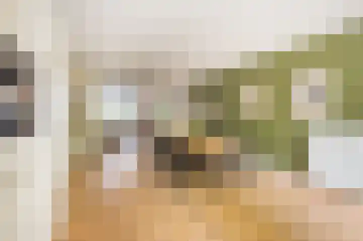 Zoomstraat 51 1 Amsterdam thumbnail 7