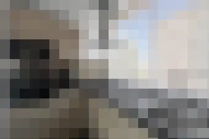 Zoomstraat 8 Den Helder thumbnail 12