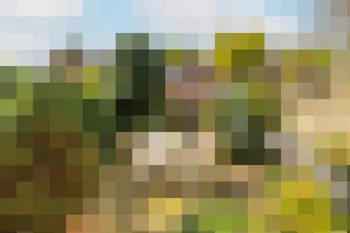 Zorgvliet 31 De Bilt thumbnail 16