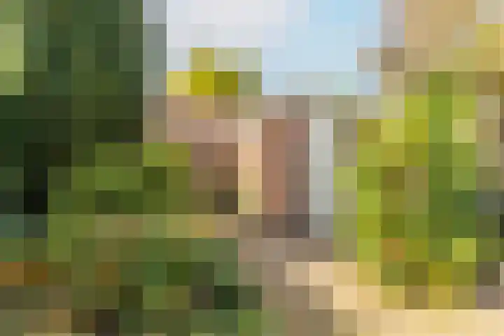 Zorgvliet 31 De Bilt thumbnail 17