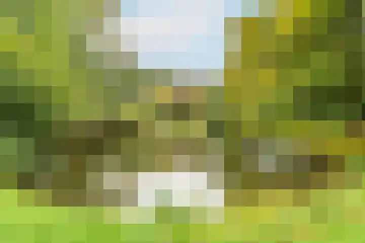 Zorgvliet 31 De Bilt thumbnail 34