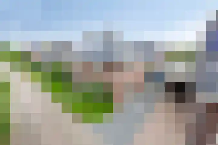Zoutgootpad 6 Oss