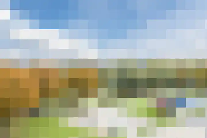 Zoutweide 3 Hellevoetsluis thumbnail 29