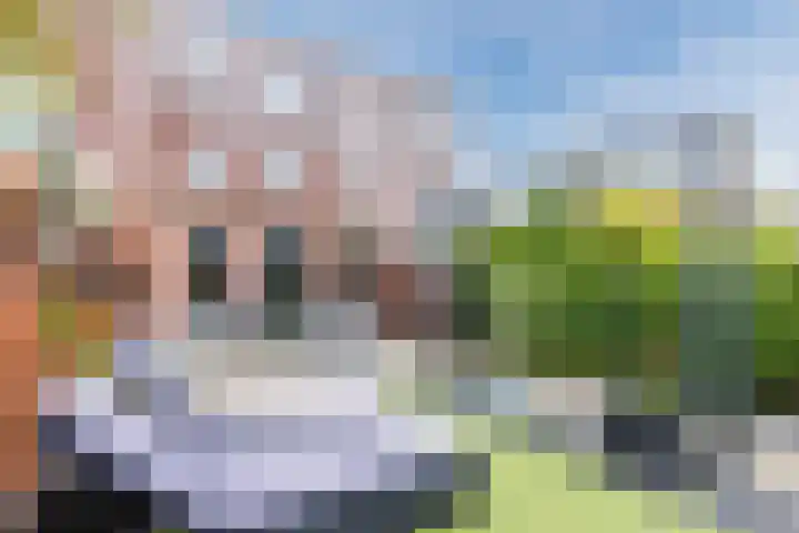 Zoutweide 3 Hellevoetsluis thumbnail 33
