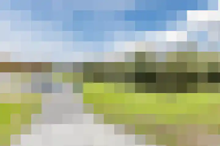 Zoutweide 3 Hellevoetsluis thumbnail 37