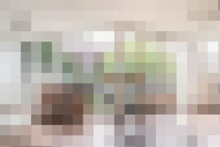 Zouwendijk 29 Ameide thumbnail 15