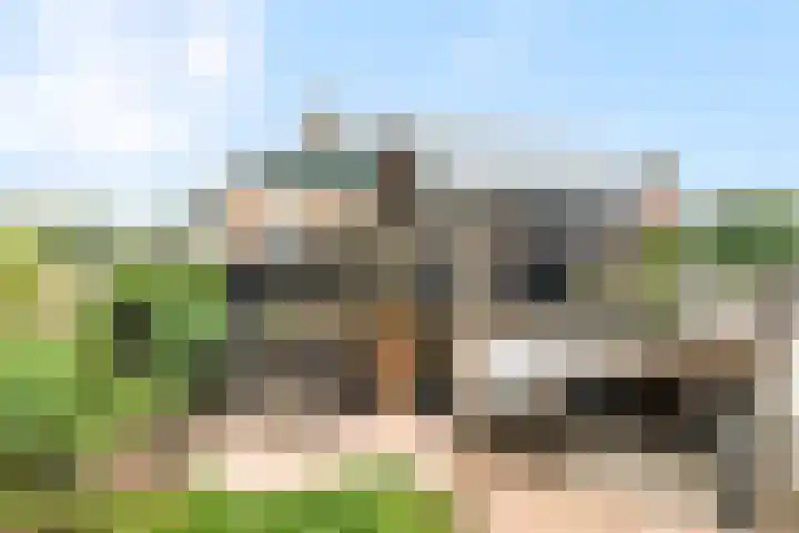 Zouwendijk 29 Ameide thumbnail 32