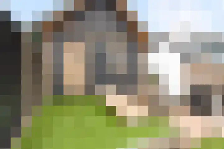 Zouwendijk 29 Ameide thumbnail 35