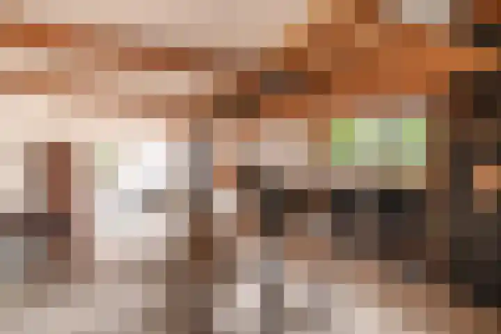 Zouwendijk 29 Ameide thumbnail 38