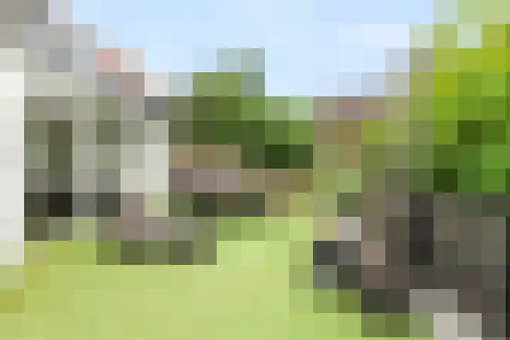 Zouwendijk 29 Ameide thumbnail 39