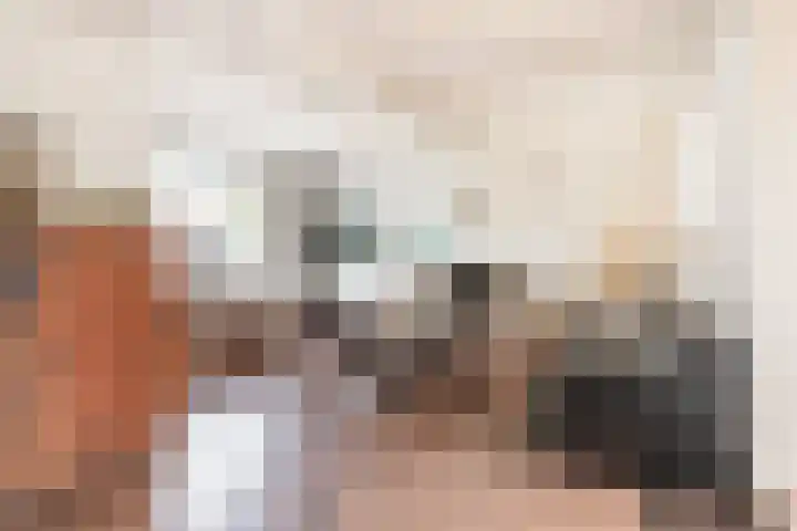 Zouwendijk 29 Ameide thumbnail 4