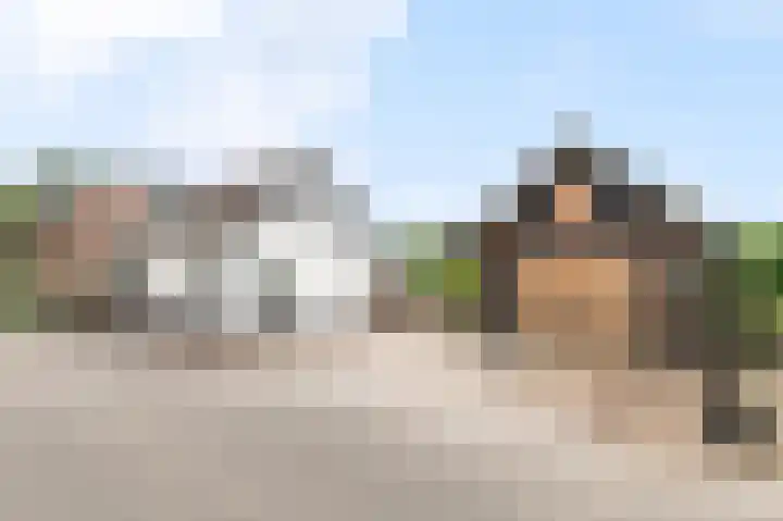 Zouwendijk 29 Ameide thumbnail 54