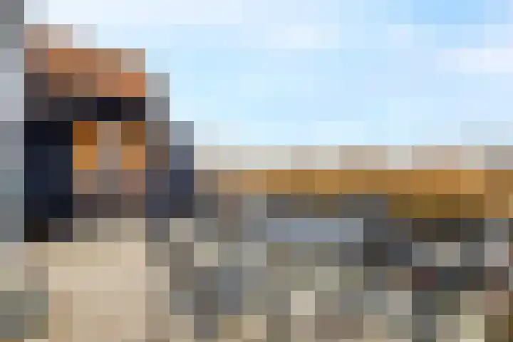 Zouwendijk 54 Meerkerk thumbnail 22