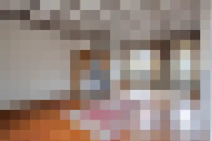 Zouwendijk 54 Meerkerk thumbnail 7