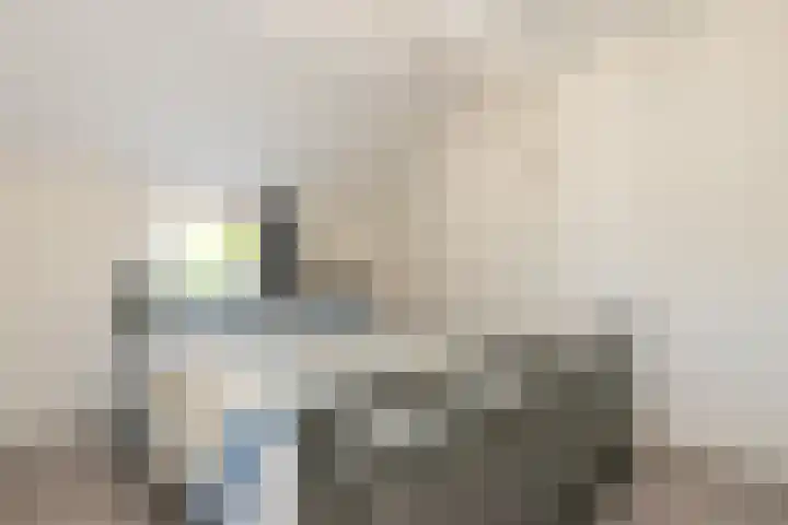 Zuid 15 Elsloo thumbnail 12