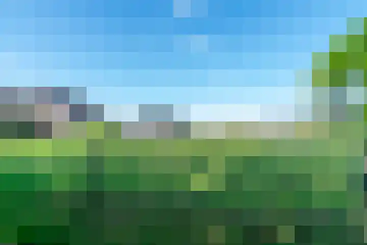 Zuid 15 Elsloo thumbnail 15