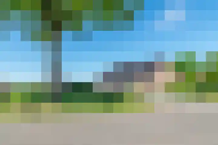 Zuid 15 Elsloo thumbnail 18