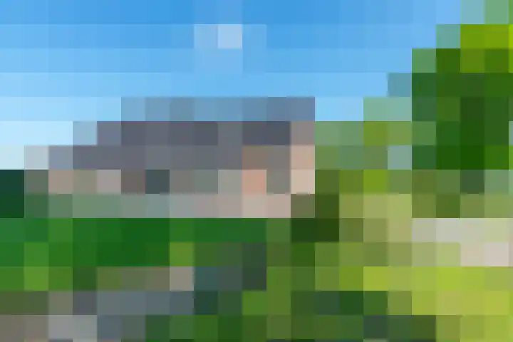 Zuid 15 Elsloo thumbnail 22