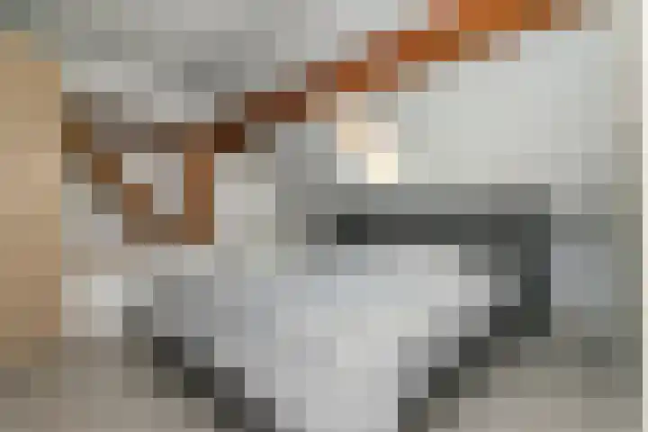 Zuid 15 Elsloo foto 3