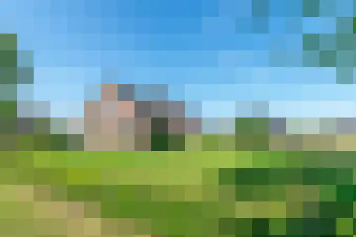 Zuid 15 Elsloo thumbnail 30
