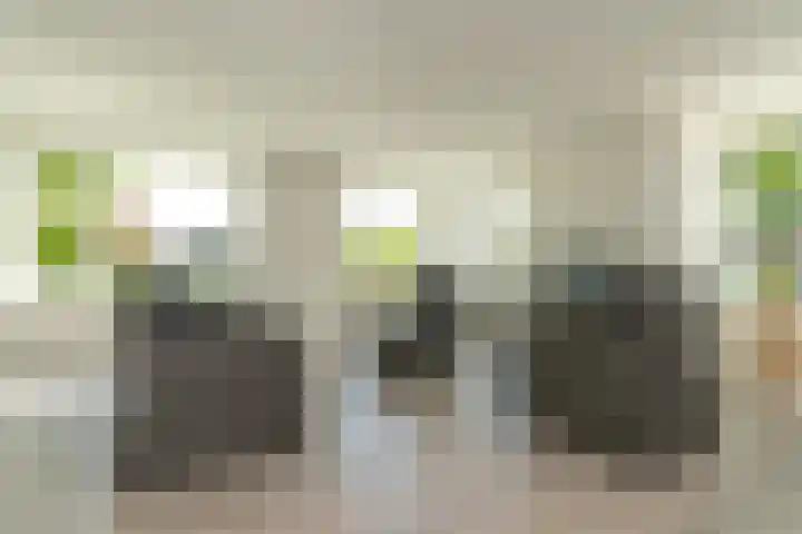 Zuid 15 Elsloo thumbnail 31