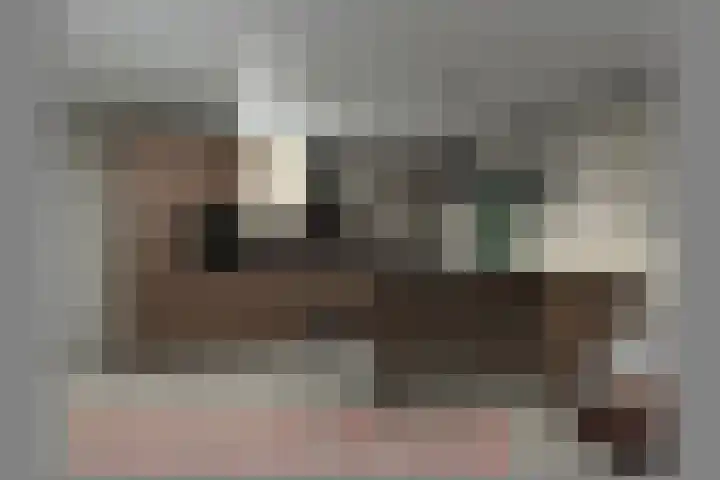 Zuid 15 Elsloo thumbnail 33