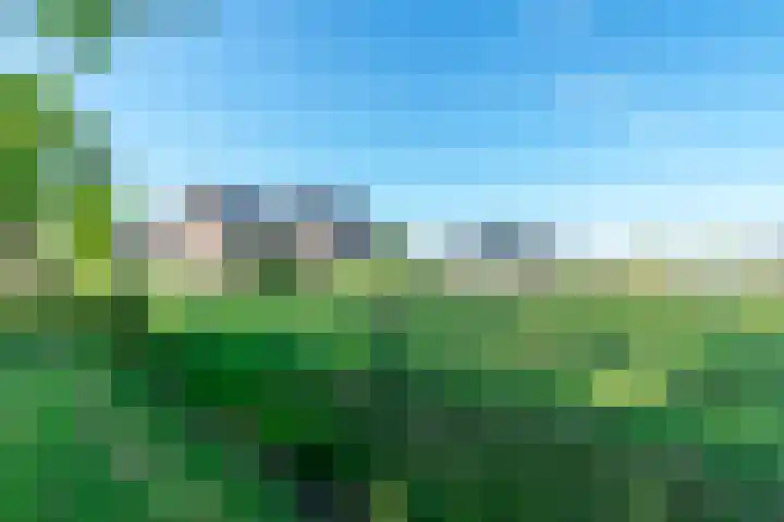 Zuid 15 Elsloo thumbnail 40