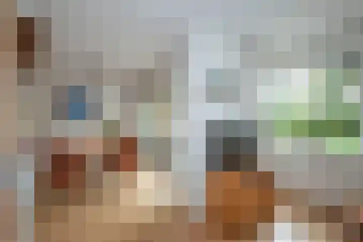 Zuid Esch 11 Borne thumbnail 18