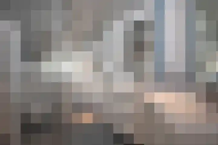 Zuid Esch 11 Borne thumbnail 27