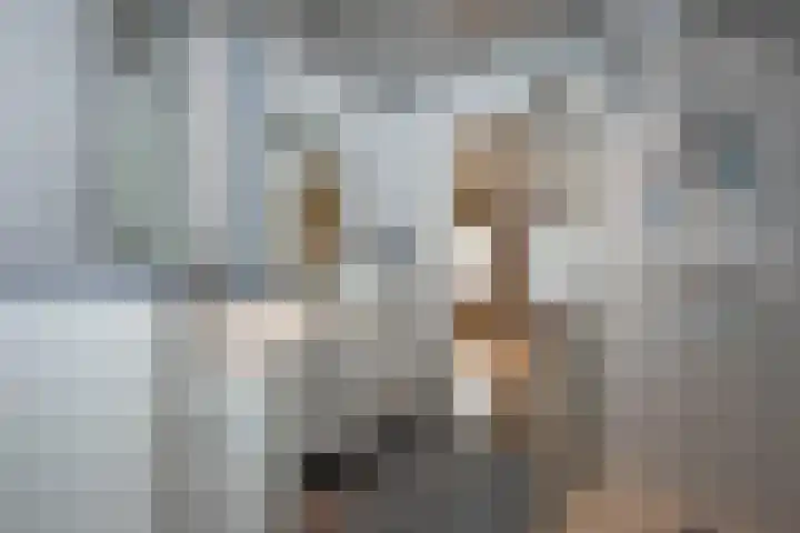 Zuid Esch 11 Borne thumbnail 36