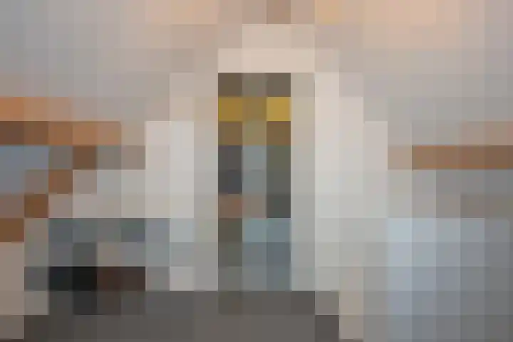 Zuid Esch 11 Borne thumbnail 39