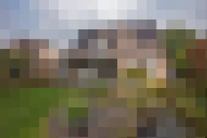 Zuid Esch 11 Borne thumbnail 4