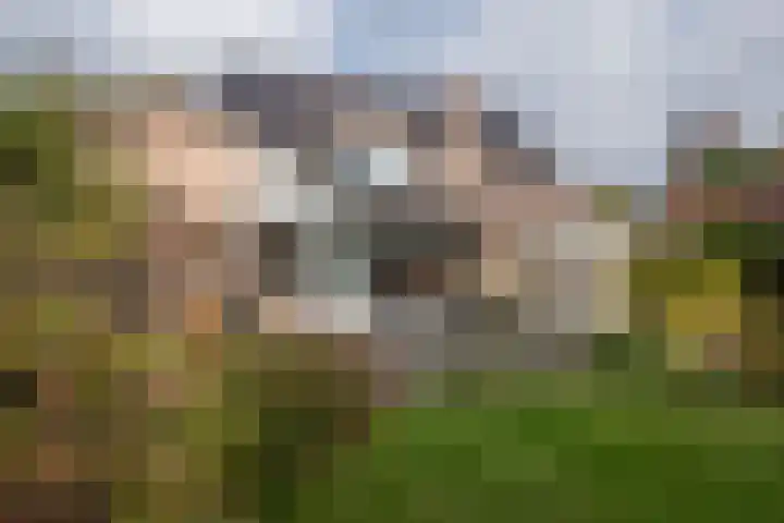 Zuid Esch 11 Borne thumbnail 42