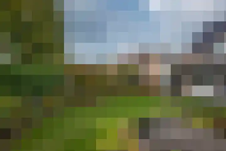 Zuid Esch 11 Borne thumbnail 44