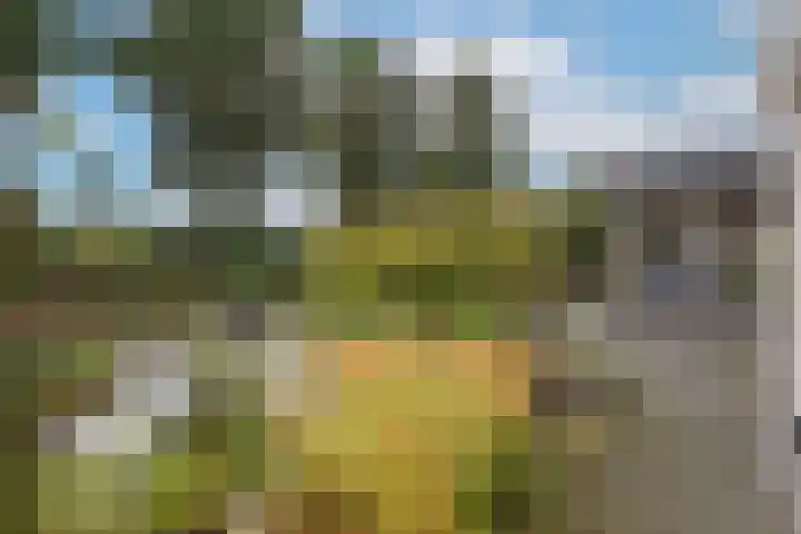 Zuid Esch 11 Borne thumbnail 45