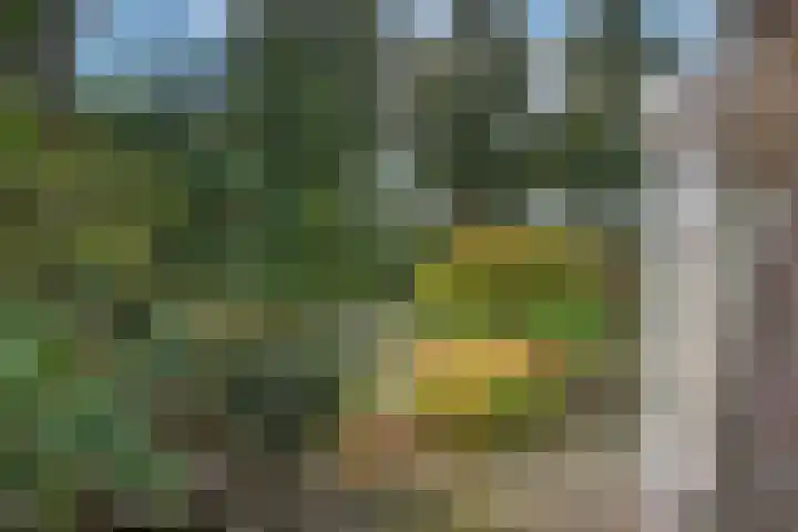 Zuid Esch 11 Borne thumbnail 46
