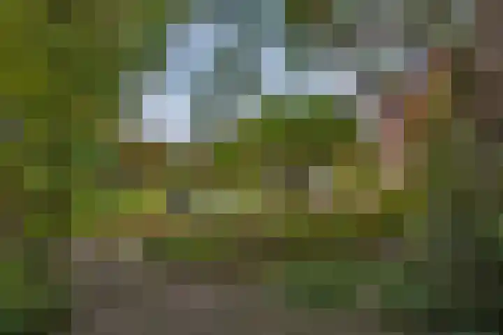 Zuid Esch 11 Borne thumbnail 47
